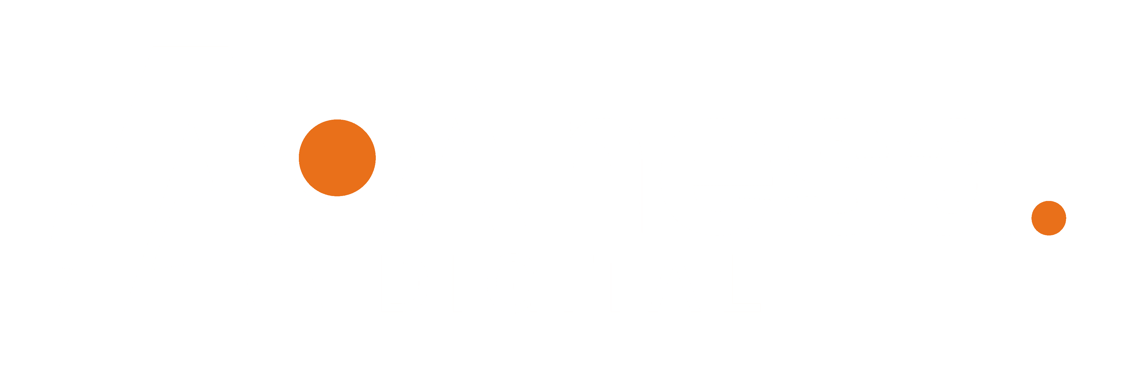 ANESA Digital