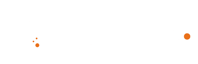 ANESA Labs